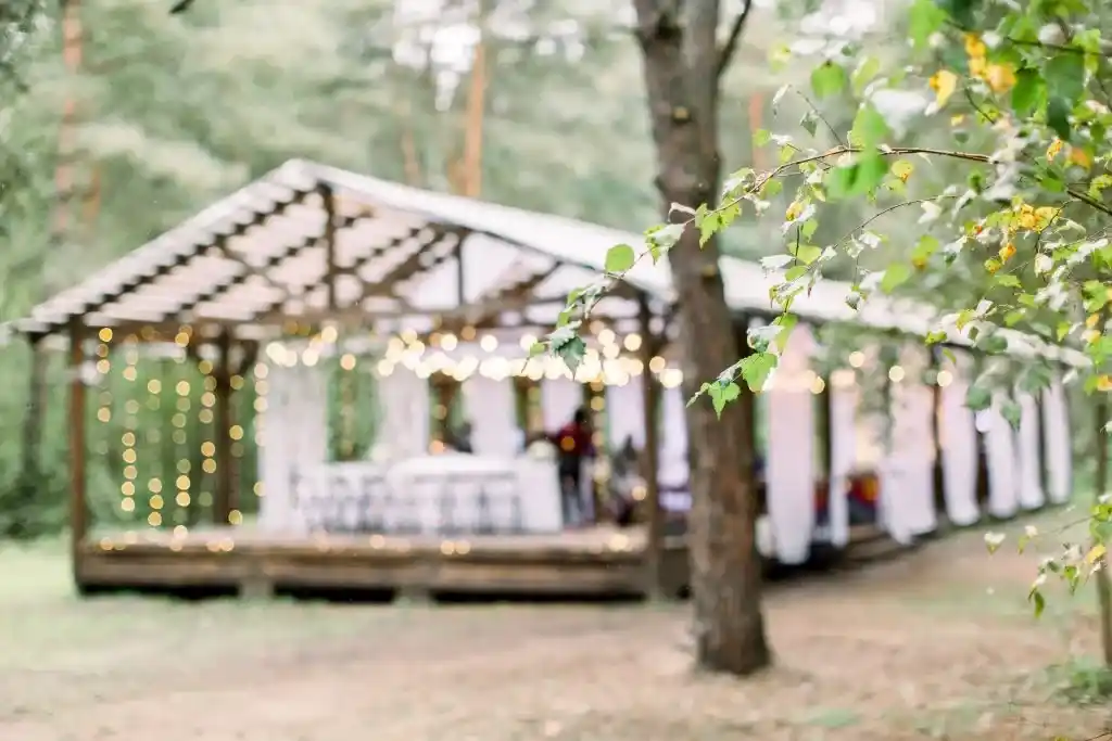 Wedding tent rentals